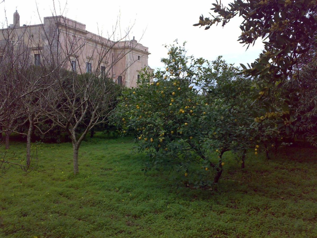 Aricelle Speziali Bed & Breakfast Specchia Gallone Exterior photo